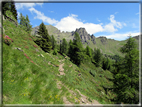 foto Malga Val Cion